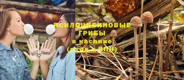 Альфа ПВП Бугульма