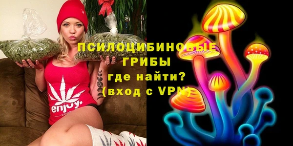 spice Бородино