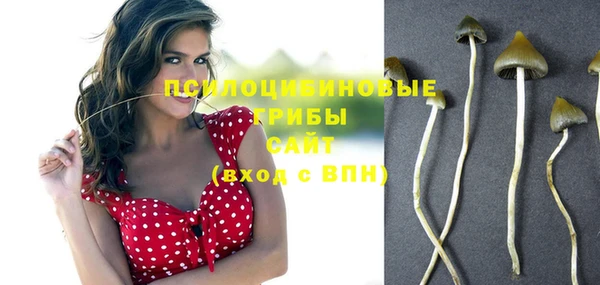 spice Бородино